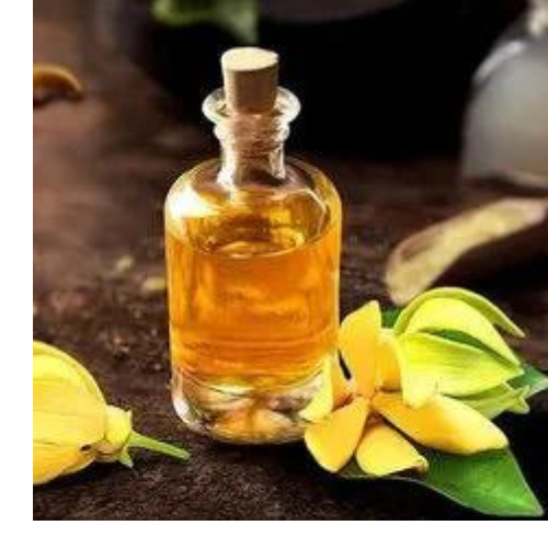 Ylang Ylang Fragrance