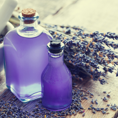 Lavender Fragrance