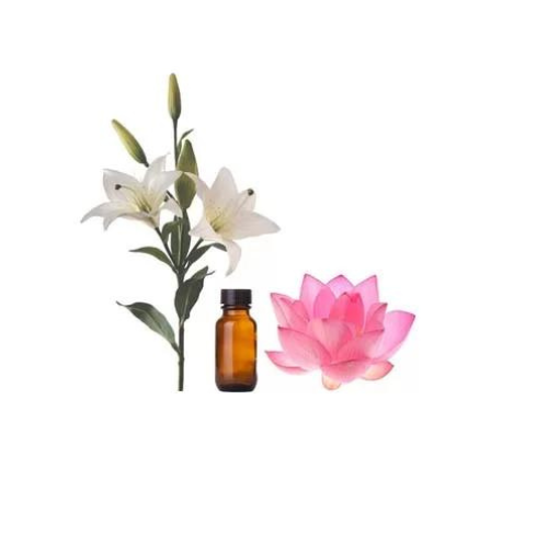 Lotus Fragrance