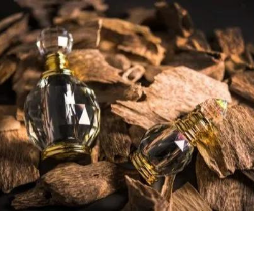 Musk Gold Fragrance Oil