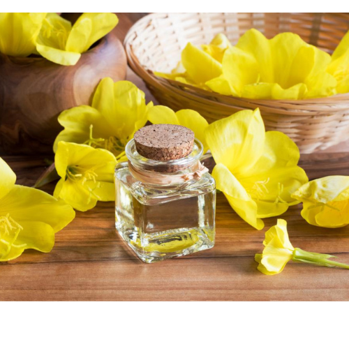 Evening Primrose Oil