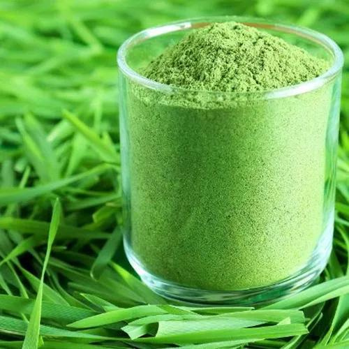 Wheatgrass Powder