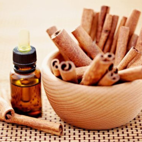 Cinnamon Bark Oil