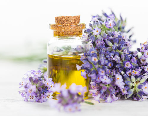 Organic Lavender - French oil