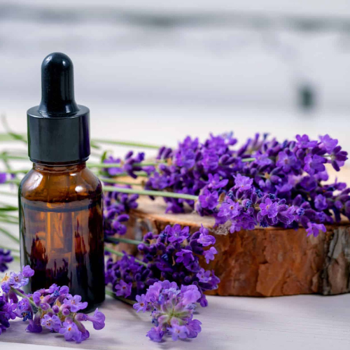 Lavender Oil