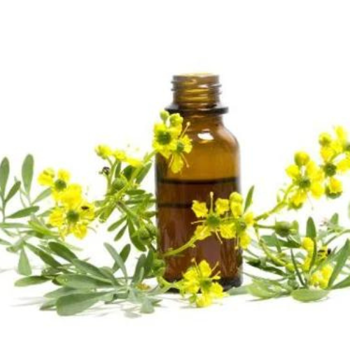 organic Maychang/ Litsea Cubeba oil