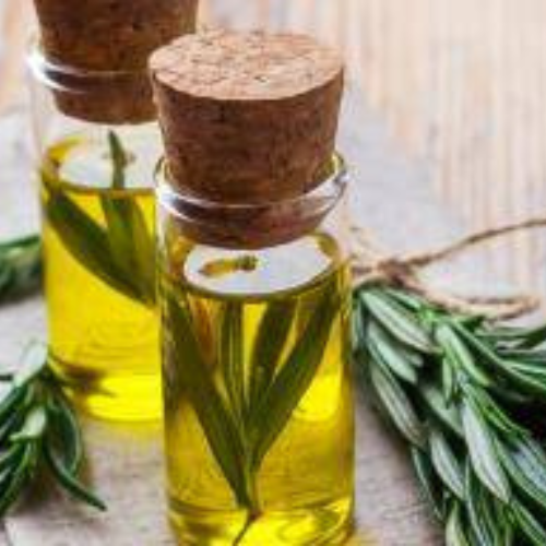 Organic Rosemary oil