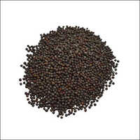 Black Mustard
