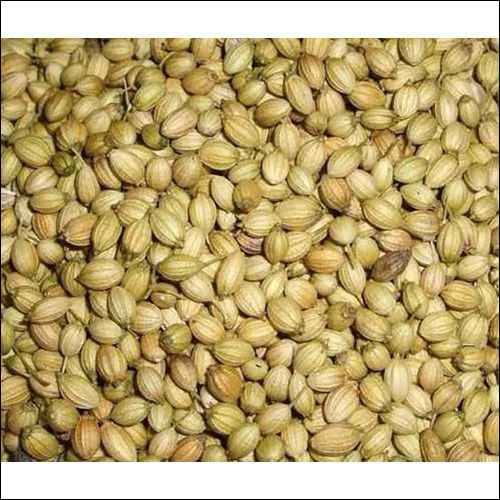 Brown Coriander Seeds