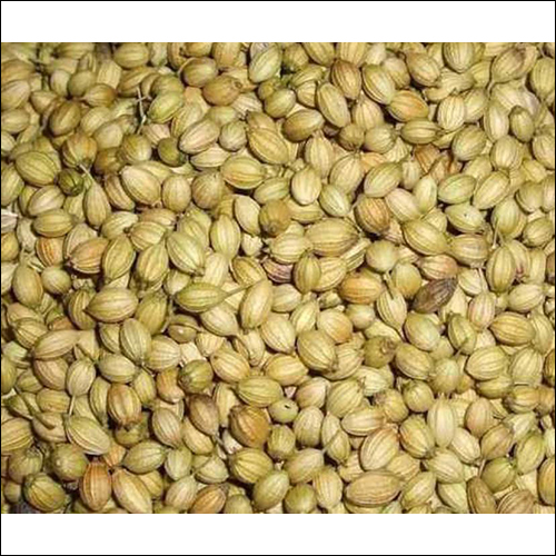 Coriander Seeds