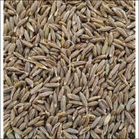 Raw Cumin Seeds