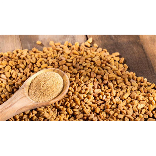 Raw Fenugreek Seeds