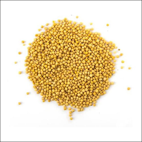 Yellow Mustard
