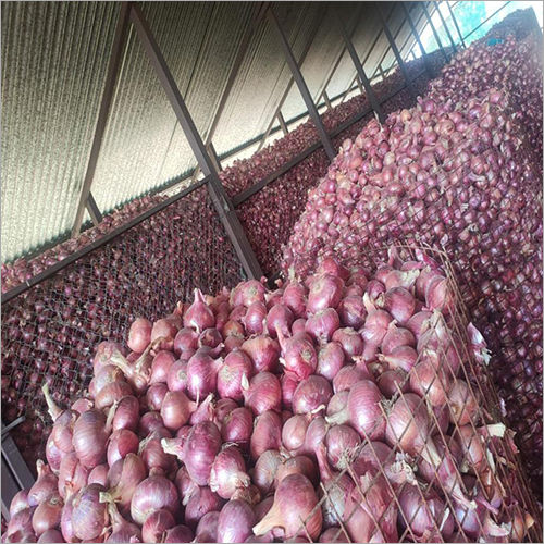 Red Onion Moisture (%): 50%