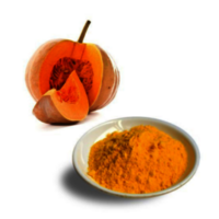 Pumpkin Powder