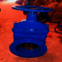 Resilient Seated Gate Valve - Ductile Iron, 50mm To 800mm Size, Blue Color | Wedge Type, Medium Pressure, Medium Working Temperature