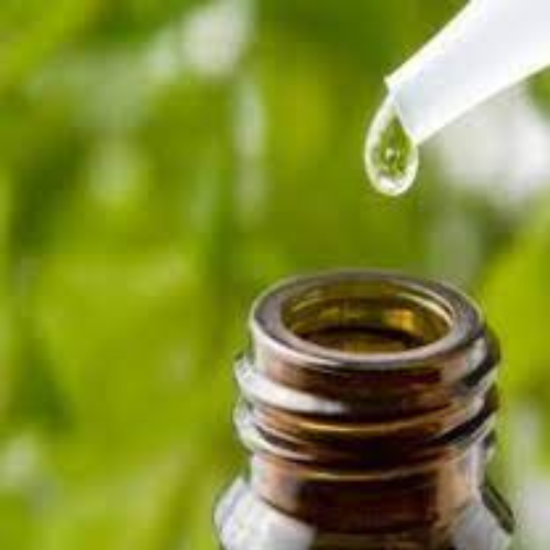 Green coffee Extract