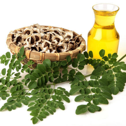 organic Moringa oil