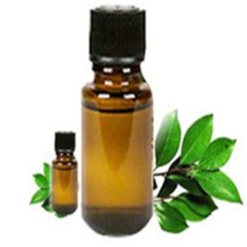 Nagarmotha Extract