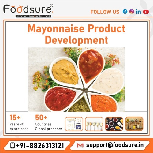 Mayonnaise Product Development