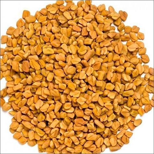 Fresh Fenugreek Seeds