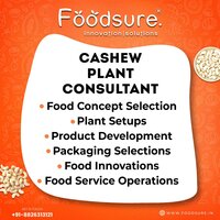 Cashew Plant Consultancy