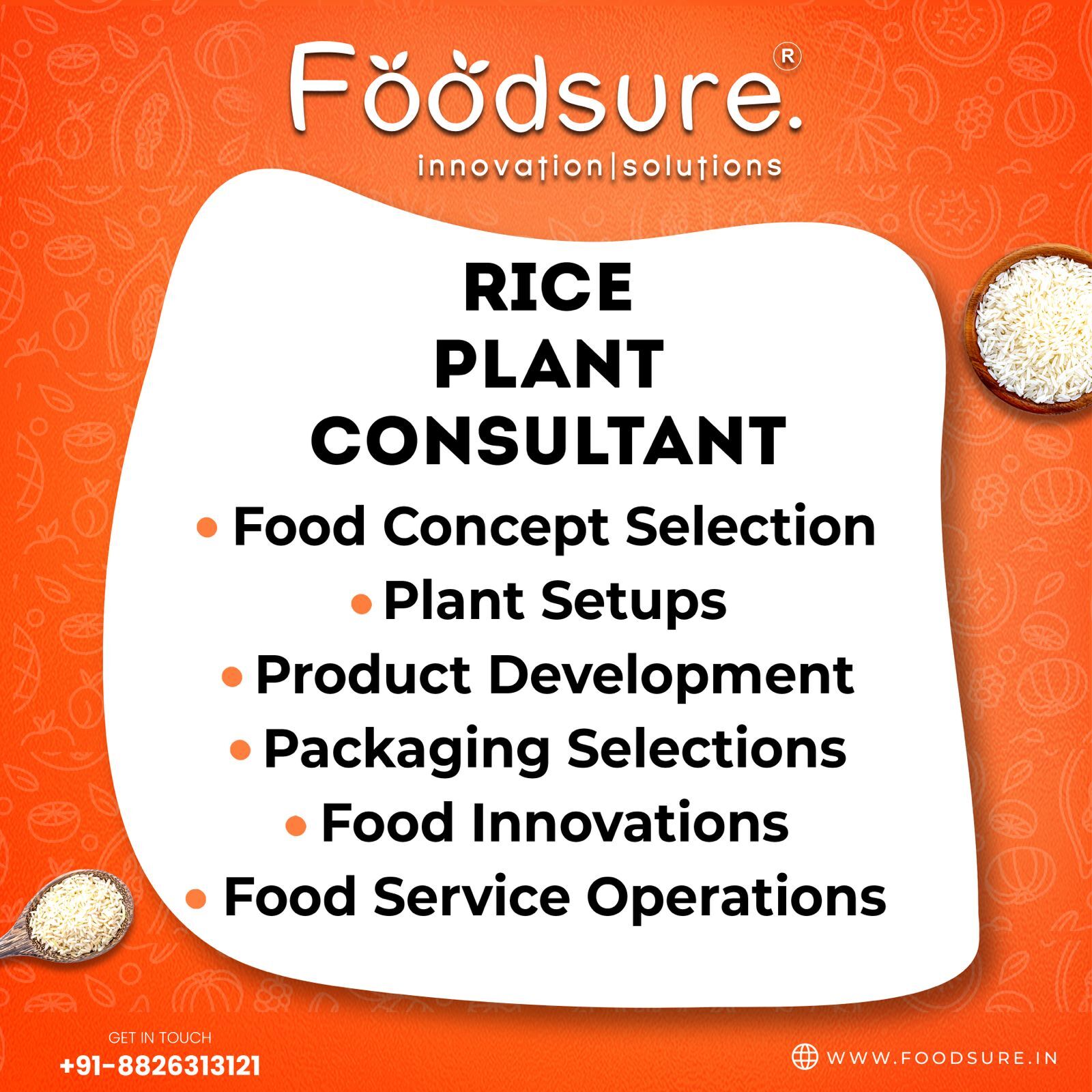 Rice Plant Processing Consultant