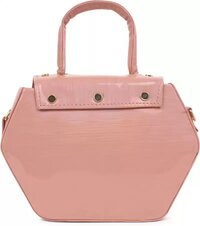 Women Multicolor Hand held Bag