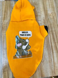 Dog Hoodie