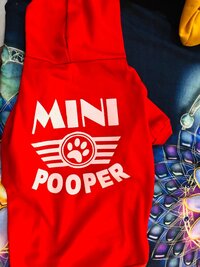 Dog Hoodie