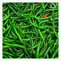 Green Chillies - Seasoned Stick Form | Rich In Beta-carotene, Vitamin C, Potassium, Antimicrobial Properties, Aids Digestion