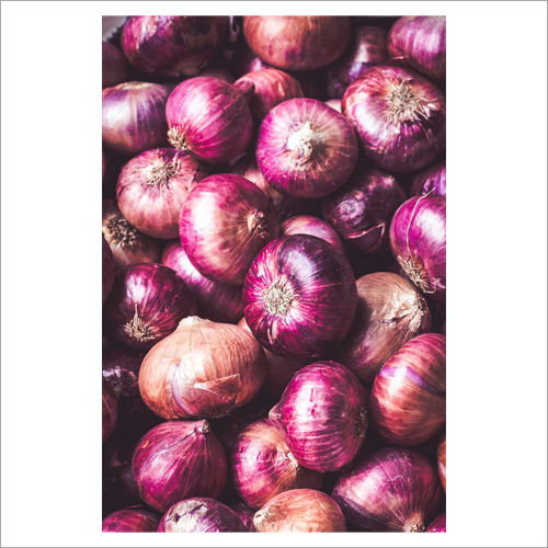 Red Onion