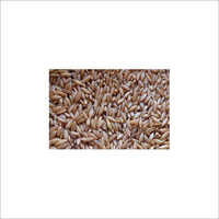 Bamboo Rice - Organic Dried Brown Rice | Raw Form, Rich Nutrients, Eco-friendly Cultivation