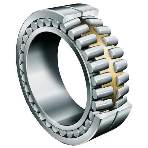 Stainless Steel Double Row Cylindrical Roller Bearings