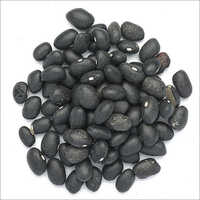 Common Black Beans
