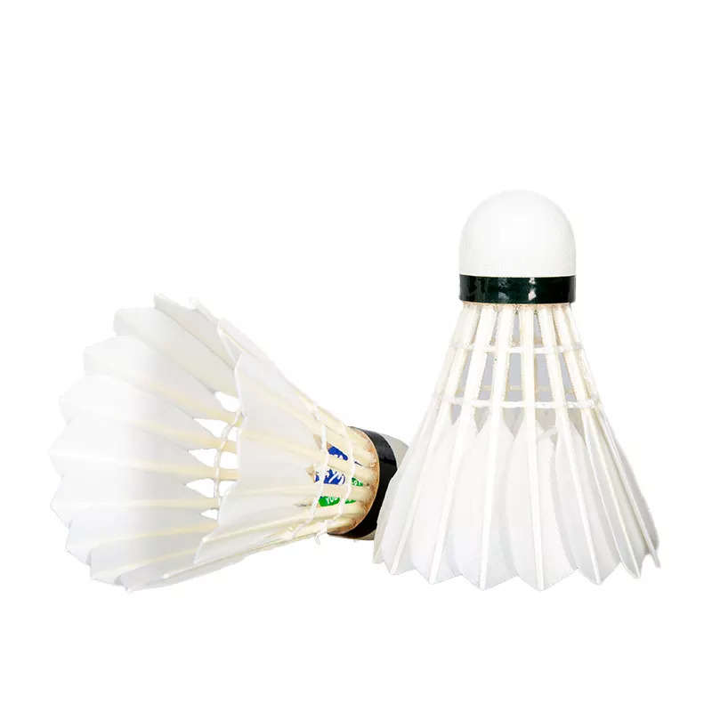 Badminton Accessories