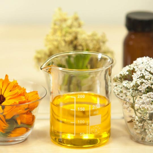 Chrysanthemum Absolute Oil