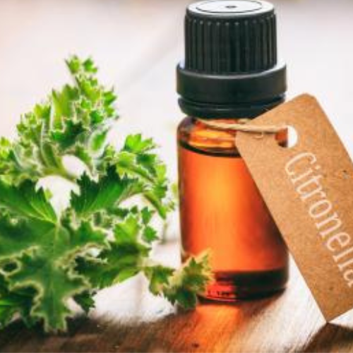 Citronella Java Oil Purity: 100%