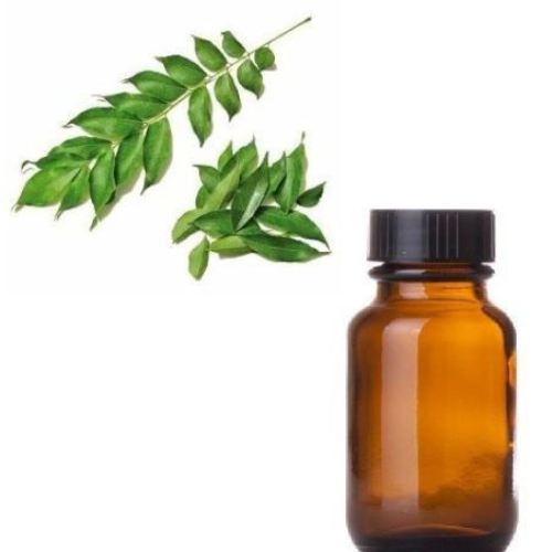 Curry Leaf Oil Purity: 100%