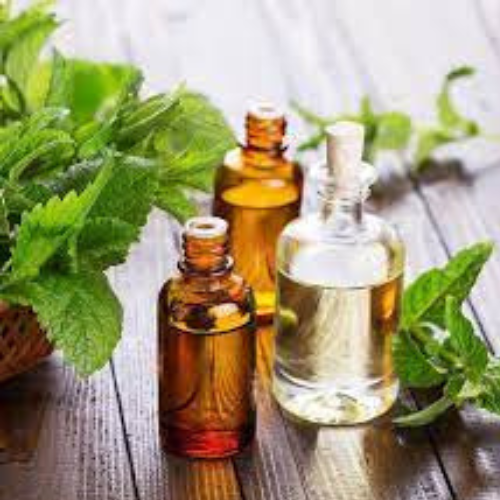 Davana Oil