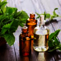 Davana Oil