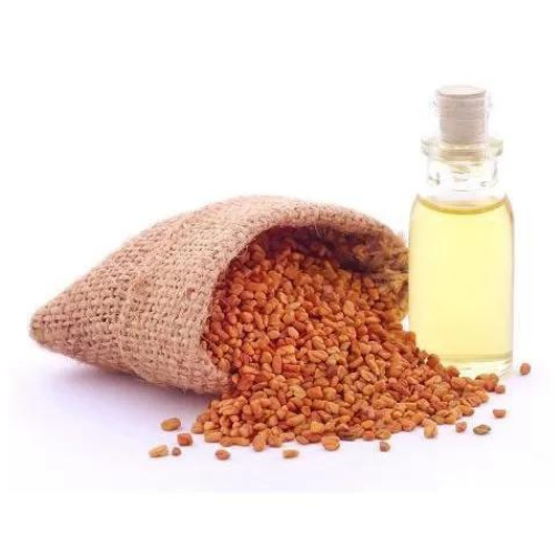 Fenugreek Absolute Oil