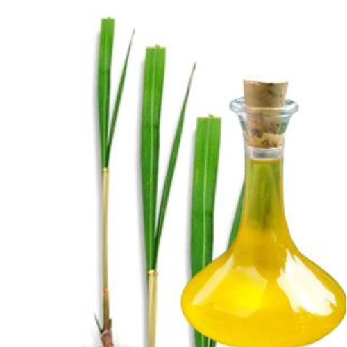 Ginger Grass Oil