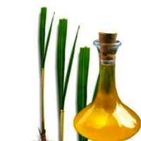 Ginger Grass Oil