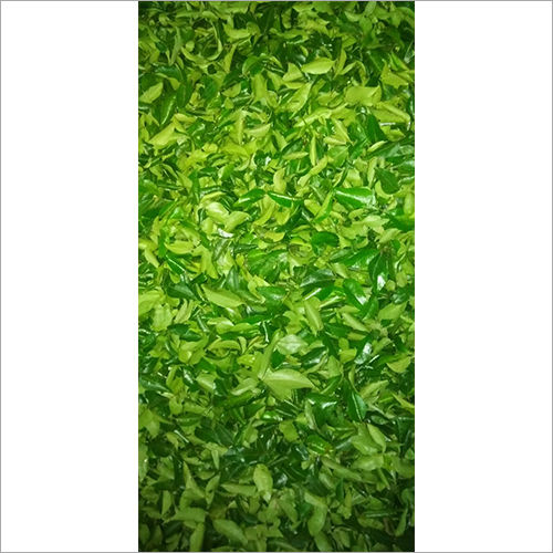 Fresh Curry Leaves