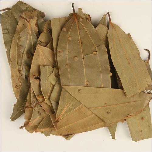 Bay Leaf