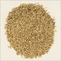 Fennel Seeds - Raw Granule, Brown Color | Natural Digestive Aid, Sweet Aroma, Long Shelf Life