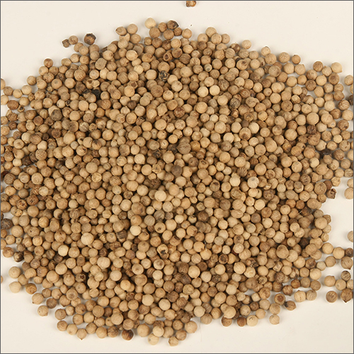 White Pepper