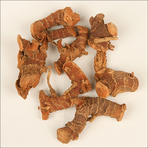 Galangal Roots