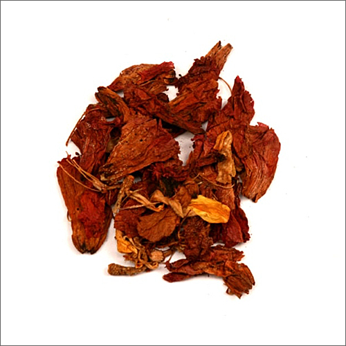 Hibiscus Flower